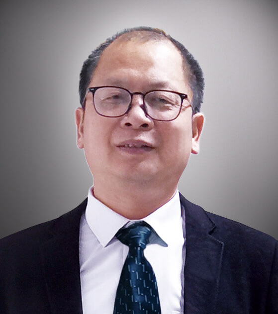 梅海星（首席顧問(wèn)）